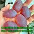 Mystical Mae Khong River Rock Gem Stone Leklai Naga Egg Orange Thai Amulet 17603